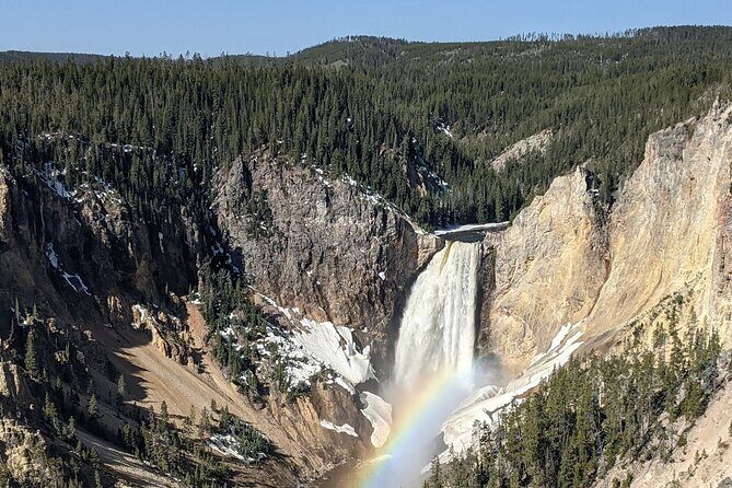 Wonders of Yellowstone Lower Loop Private Tour with Lunch - Why Choose This Tour?