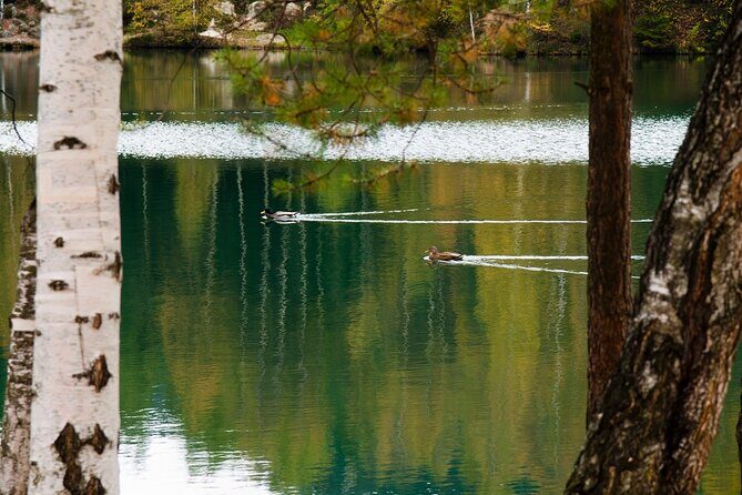 Wroclaw to Rock City in Adrsprach - Practical Details and Tips