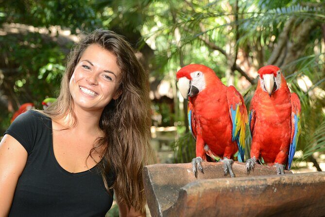 Xcaret Park Plus Access with Transportation and Night Show - The Itinerary Explored: What You’ll Do and Why It Matters