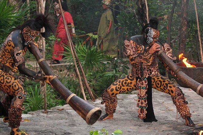 Xcaret Plus Tour! Full Day Nature Adventure + Round Transportation from Cancun - What Could Be Improved or Considered
