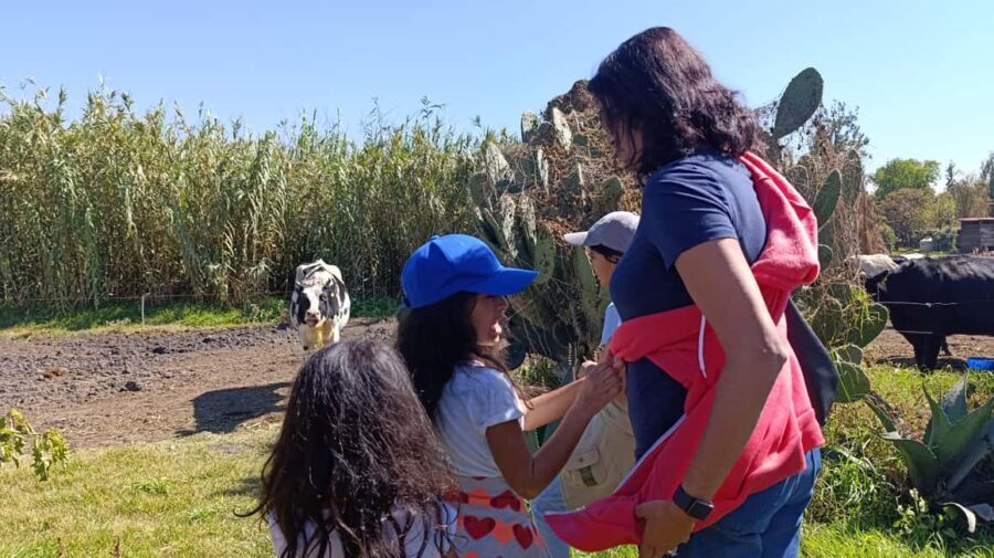 Xochimilco for kids and families - Analyzing the Details: What Makes This Tour Stand Out?