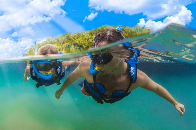 YAL-KÚ Park in Riviera Maya Admission Ticket - Who Should Consider Visiting Yal-Kú?