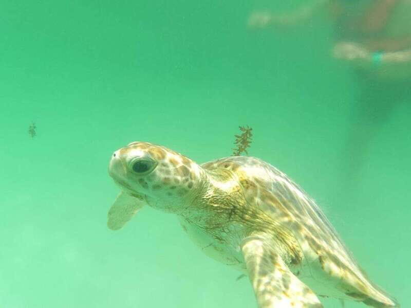 Yalku :Akumal snorkeling Muuch Kay Ecopark - What to Expect at Muuch Kay Ecopark