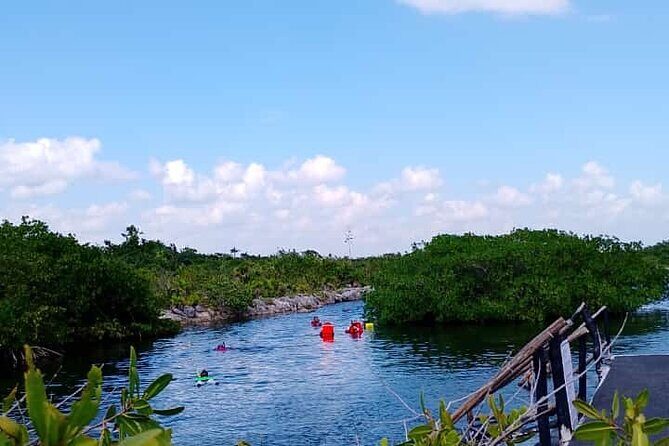 Yalku lagoon and turtles akumal sanctuary - Who Should Consider This Tour?