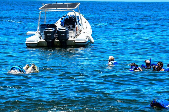 Yelapa Adventure and Snorkeling Escape in Puerto Vallarta - Snorkeling in Crystal-Clear Waters