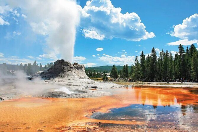 Yellowstone Grand Teton and Coeur dAlene 5-Day Tour from Seattle - Who Is This Tour Best For?