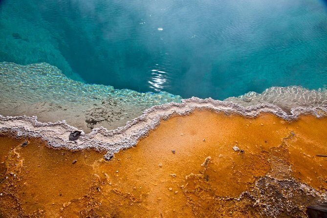 Yellowstone National Park Group Tour - What Travelers Say: Authentic Insights from Reviews