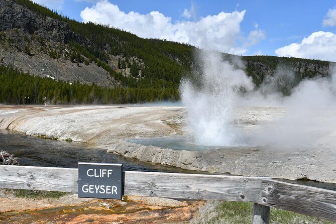 Yellowstone Park Private Day Trip from Big Sky - Full or Half Day - Why This Tour Might Be Perfect for You