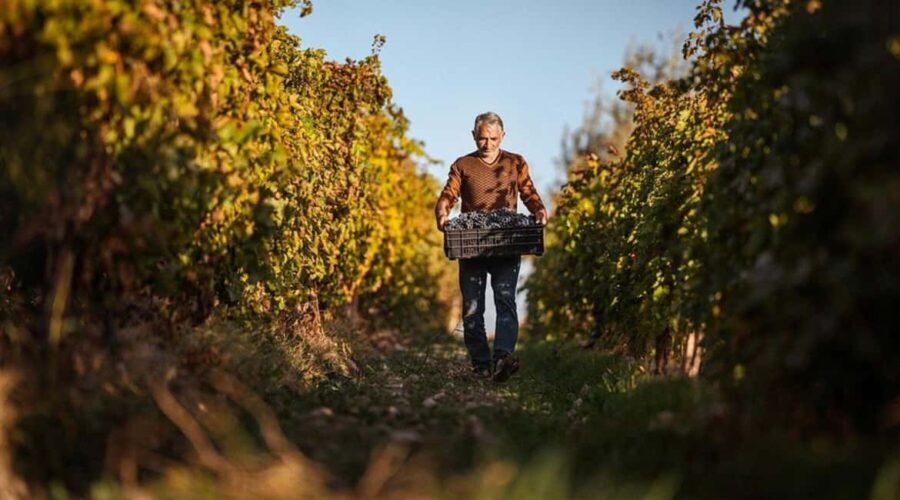 Yerevan: Gevorkian Winery Tour and Tasting Experience - What Travelers Say and Why It Matters