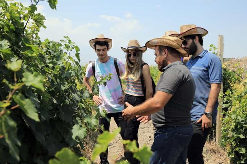 Yerevan: Khor Virap Day Trip with Mount Ararat Wine Tasting - Guided Tour and Personal Touch  