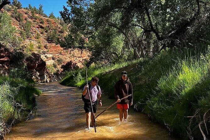YOU DRIVE!! 4 Hr East Zion Guided UTV Tour - Authentic Insights from Participating Travelers