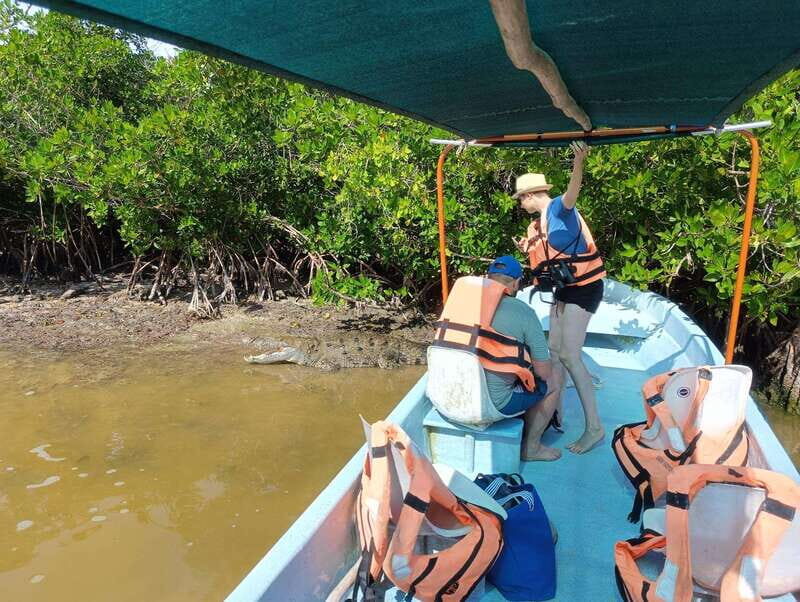 Yucatán: Río Lagartos Biosphere Reserve Boat Tour - Who Is This Tour Best For?