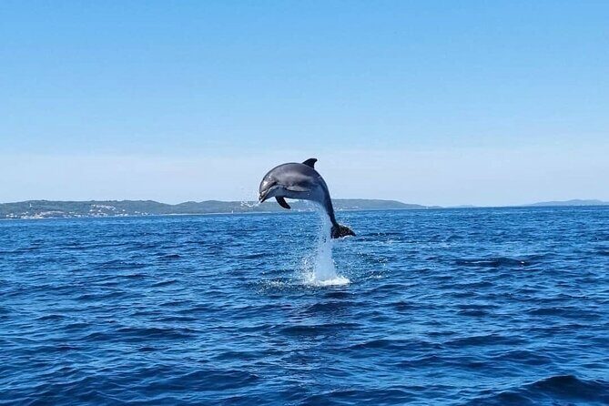 Zadar 1/2 Day Boat Tour with Skipper - What to Expect from the Zadar Boat Tour