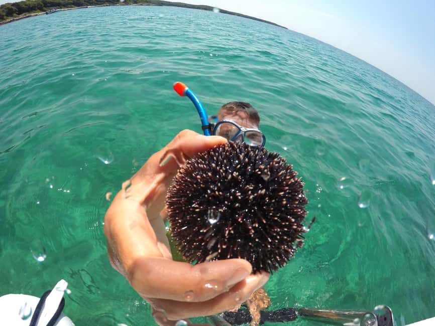 Zadar: 3-Islands Snorkeling, Beach, and Sightseeing Tour - The Itinerary in Detail