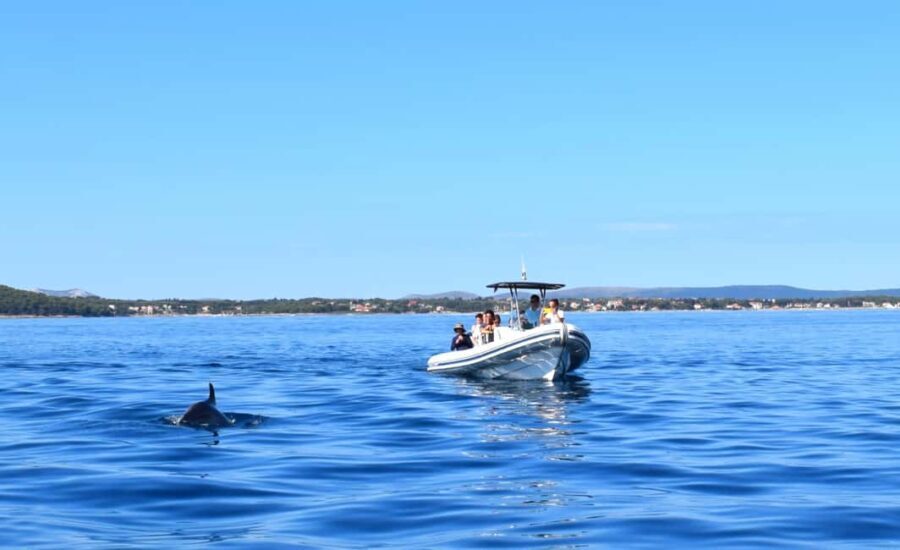 Zadar: Dugi Otok Island - 2x Snorkeling & Sandy Beach - 7 hr - What Makes This Tour Stand Out