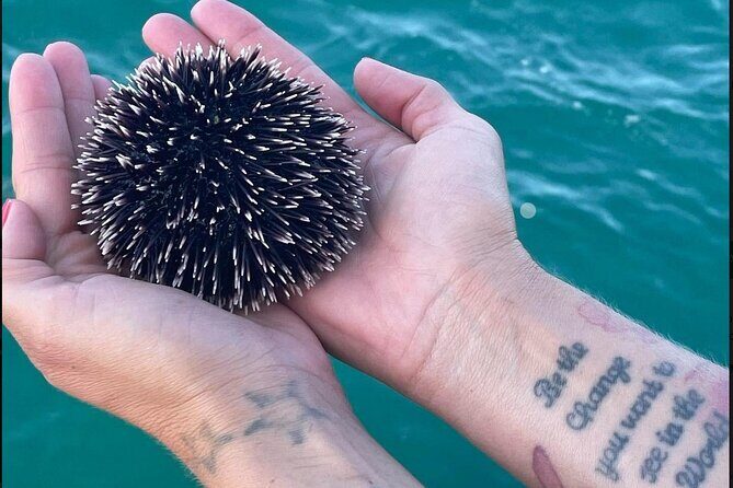 Zadar Half Day boat tour Wine on the Waves - An In-Depth Look at the Experience
