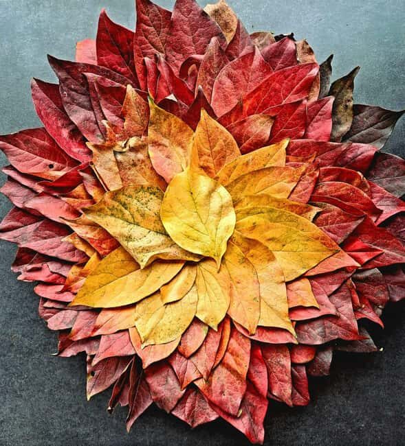 Zagreb through plants: an urban and botanical walk - Who Is This Tour Best For?