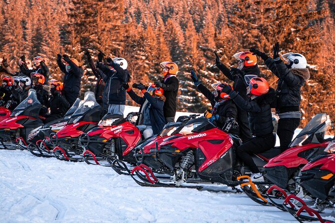 Zakopane: 3 hours Snowmobiles Guided Tour with bonfire and meal - Why the Price Matters: Is It Worth It?