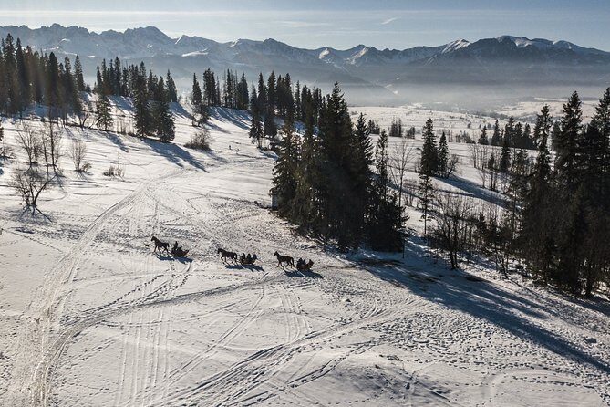 Zakopane and Horse Sleigh Ride in the countryside, private tour from Krakow - Authentic Experiences and the Guide’s Role