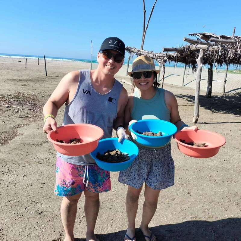 Zihuatanejo, Guerrero: Turtle Release Experience - Who Should Consider This Tour?