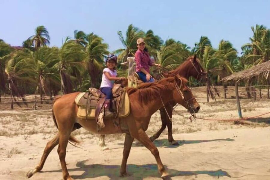 Zihuatanejo: Horseback Riding Tour with Playa Larga Beach - The Value of the Experience