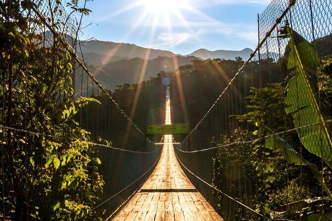 Zip Line, Mules Ride and Walk on the Hanging Bridge - What Makes This Tour Stand Out?