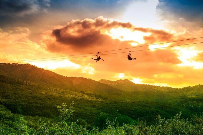 Zip Zoom Ziplines at La Jolla Indian Adventure Park - Authentic Reviews and Insights