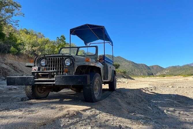 Zipline Adventure from Caduaño - Who Should Consider This Tour?