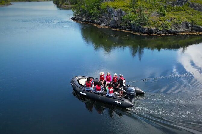 Zodiac Coastal Tour with Naturalist Guide: Lunenburg - The Wildlife and Landscape Experience