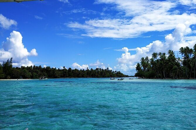 1/2 day Tahaa coral garden - departure Raiatea / ideal for cruise passengers - Wrap-Up: Why It’s Worth Considering