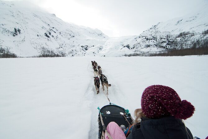 1.5 Hr - Winter Dog Sledding in Knik, Alaska - Final Thoughts
