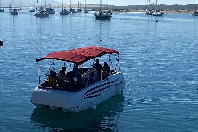 1 Hour Boat Rental - Who Should Consider This Experience?