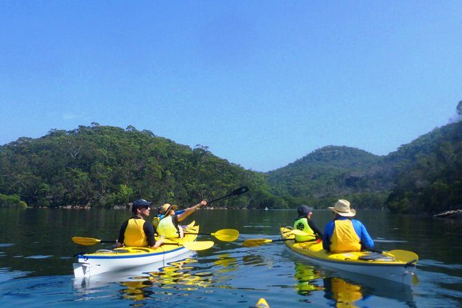 1 Hour Rental Deluxe Double Sea Kayak - The Itinerary in Detail