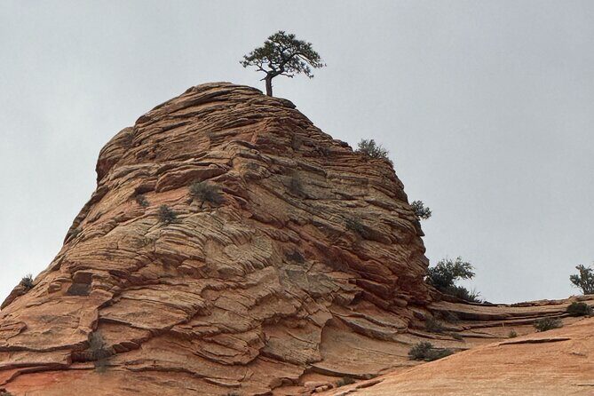 2 DAYS: Zion, Bryce, Grand Canyon, Antelope, & Horseshoe from LV - Day 2: Antelope Canyon, Grand Canyon, and Iconic Viewpoints