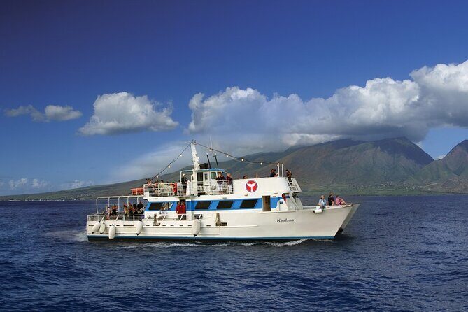 2-Hour Maui Whale Watch from Lahaina Harbor, Maui - Authentic Encounters and Real Travel Insights