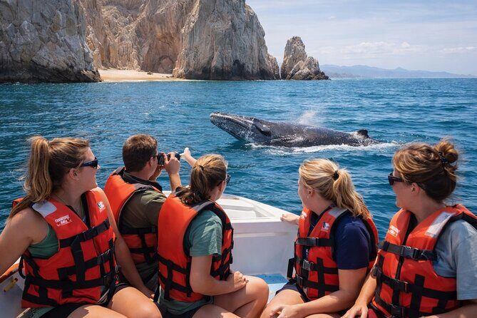 2-Hour Shore Excursion | Arch, Lovers Beach & Whale Encounters - What Makes This Tour Stand Out?