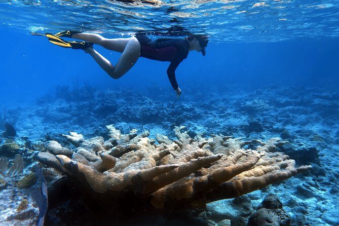 4 Days, 3 Nights Sailing Catamaran Experience in the Exumas, Bahamas - Detailed Itinerary and What to Expect