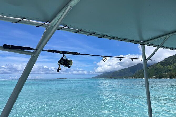 4 Hour Private Fishing Discovery Tour - What Reviewers Say (or Would Say)