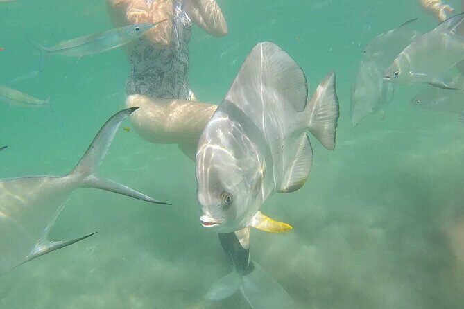 4H Snorkeling and Fishing Cruise on Magnetic Island - Why This Tour Stands Out