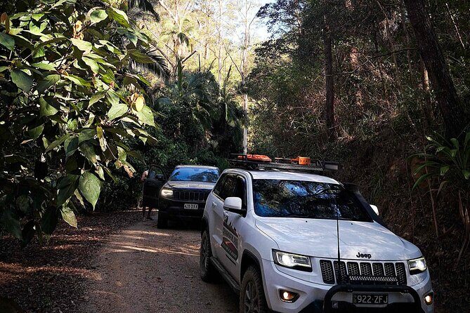 4WD Guided Day Trip In D'Aguilar National Park - Who Should Consider This Tour?
