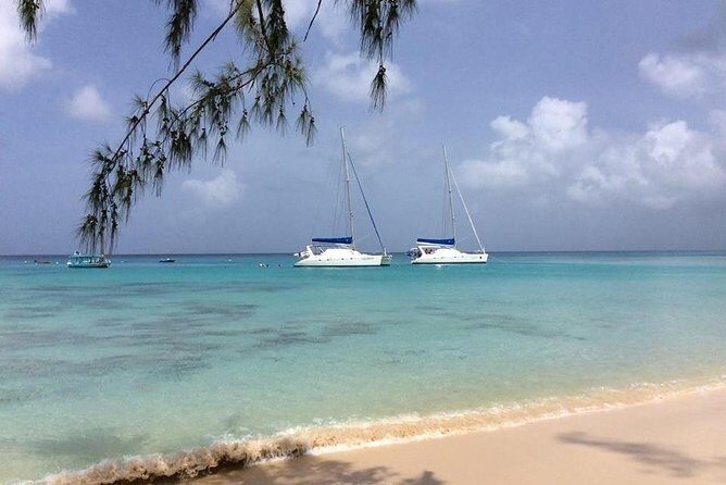 5-Hour Small-Group Catamaran Cruise from Bridgetown with Lunch - What Could Be Better?