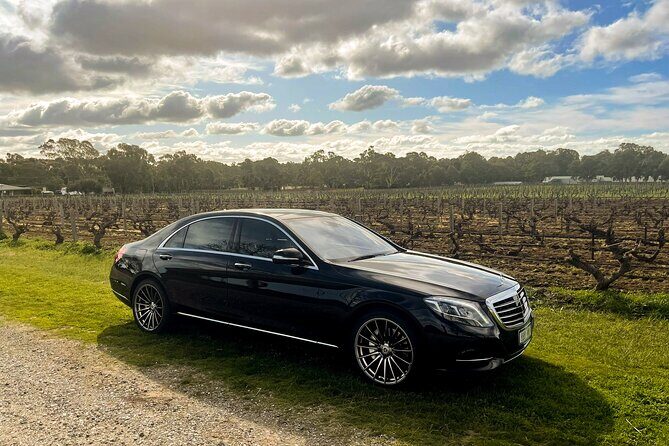 6 Hour Adelaide Hills Winery Tour - What Makes the Experience Special?