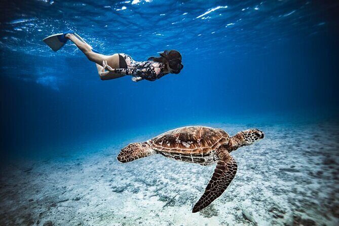 6 Hour Private Boat Activity with Snorkeling & Lunch - The Price and Value