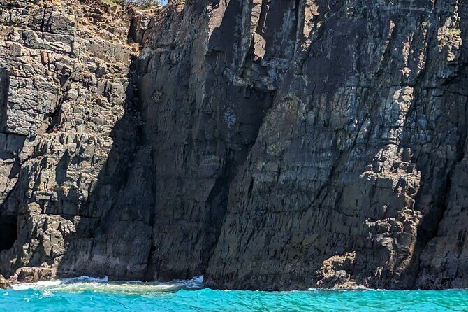 AAA Noosa National Park Tour and Dolphin Safari Whalesongsnoosa - Authentic Experiences Highlighted by Travelers