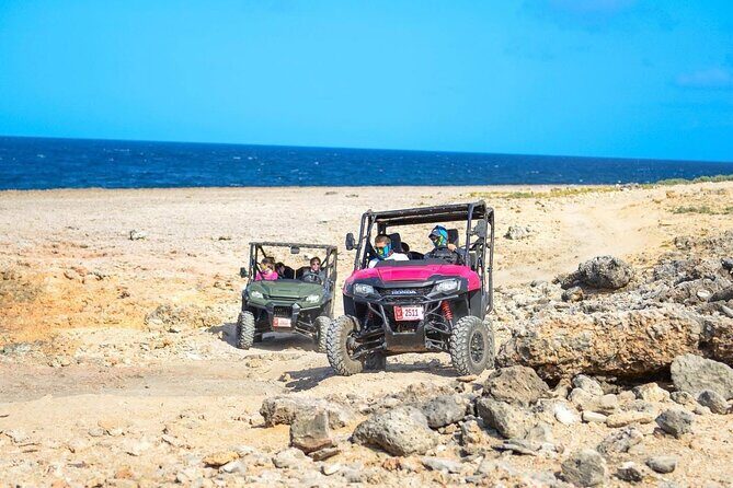 Action-Packed Half Day Aruba UTV Tour and Cave Pool - Who Will Love This Tour?