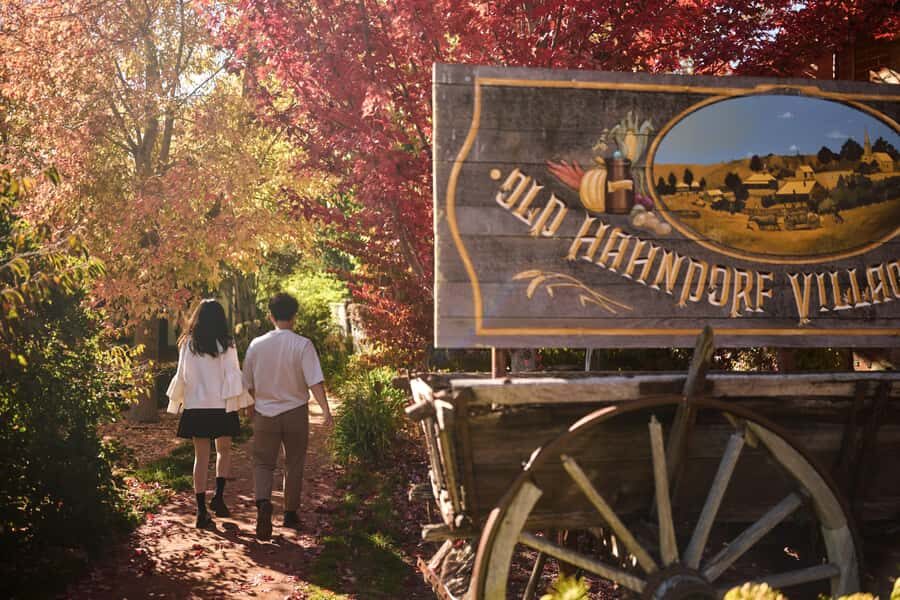 Adelaide: Highlights, Hahndorf & McLaren Vale Wine Tasting - Spectacular Views from Mount Lofty