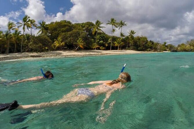 Admission Ticket to Coral World & Coki Point Beach with Snorkeling - What to Expect from the Tour