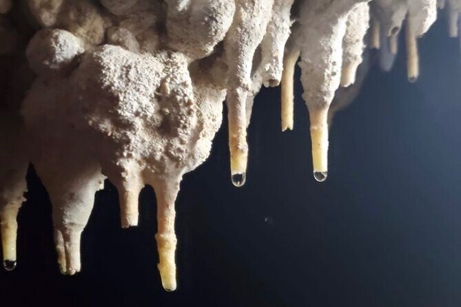 Adventure in Cave and the Guayaney Spring - Transportation, Pricing, and Value