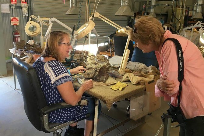 Age of Dinosaurs Museum Half Day Guided Transfer from Winton - Who is This Tour Best Suited For?