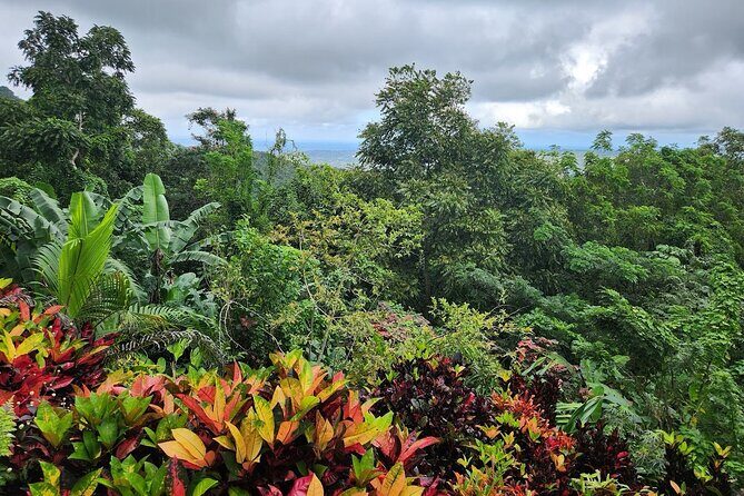 Ahhh Rasnatango Gallery and Garden - What You Can Expect During the Tour